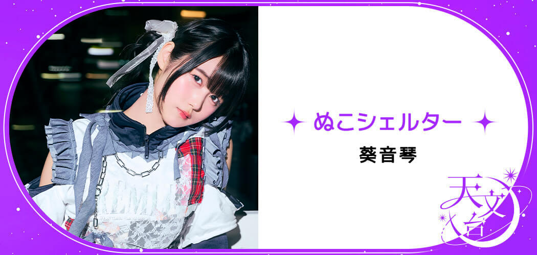 ぬこシェルター